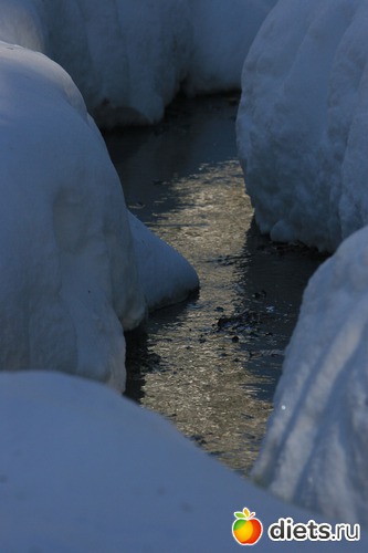 62 ����: ������