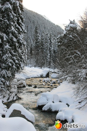 63 ����: ������