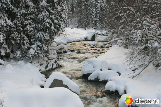 64 ����: ������