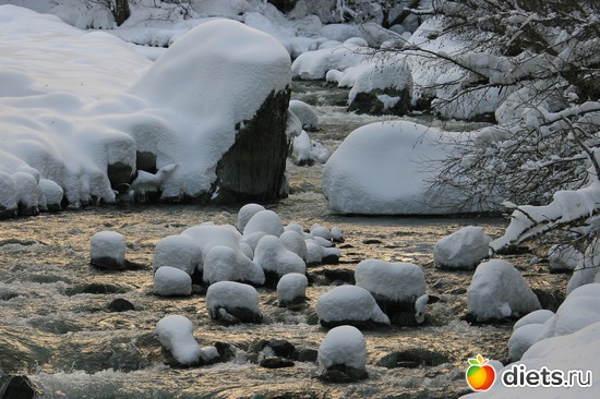 65 ����: ������