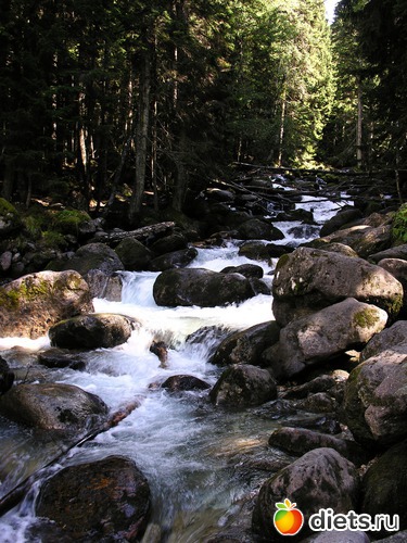 66 ����: ������