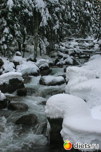 67 ����: ������