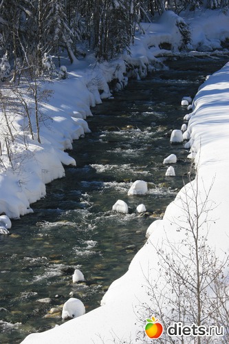 68 ����: ������