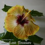 090 - Lost Treasure