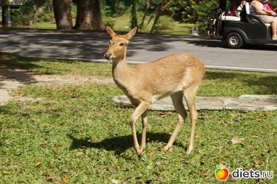 6 фото: Мои сюжеты