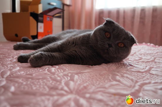 11 фото: Мои сюжеты