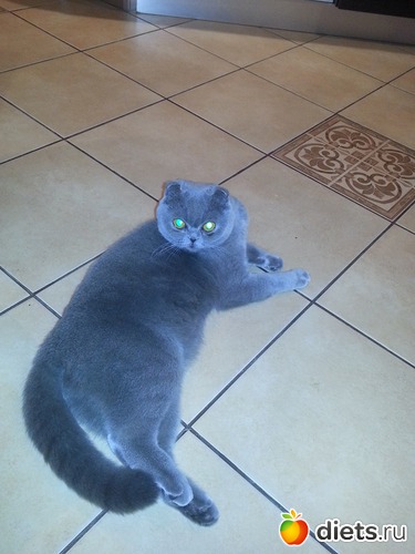 1 фото: Сима...Симеон