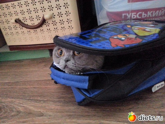 3 фото: Сима...Симеон