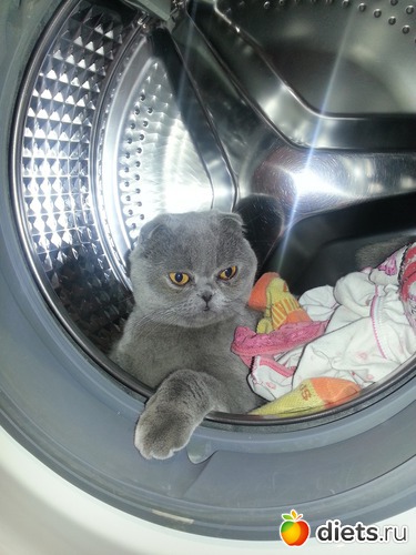 4 фото: Сима...Симеон