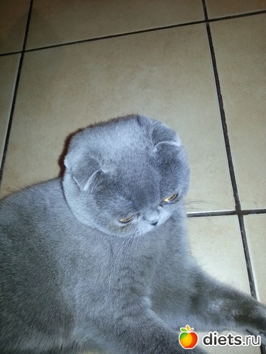 6 фото: Сима...Симеон