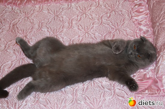 15 фото: Мои сюжеты