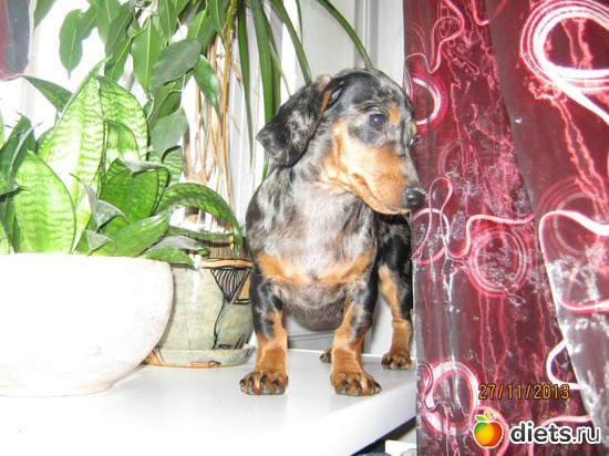 24 ����: ����� 2013 � ������...