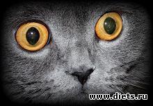 ��� �����