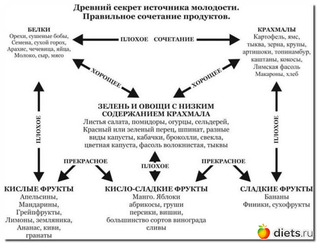 12 ����: � ������ � ������