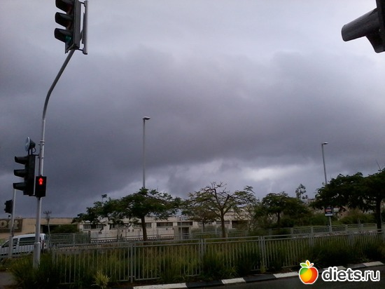 Перед дождём ,декабрь 2013, альбом: Природа...