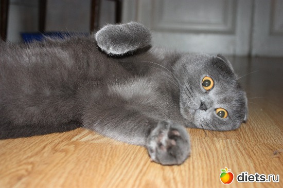 25 ����: ��� �����