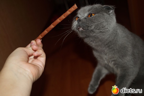 16 ����: ��� ������