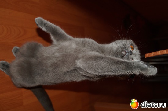 17 фото: Мои сюжеты