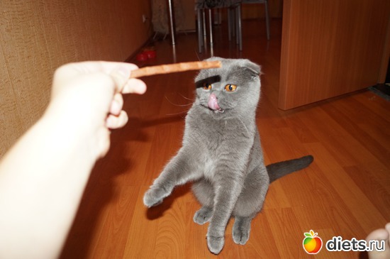 18 фото: Мои сюжеты