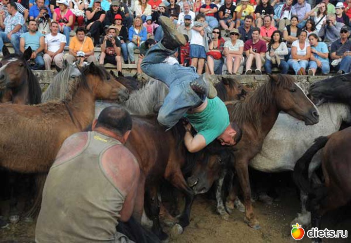 157 ����: ���