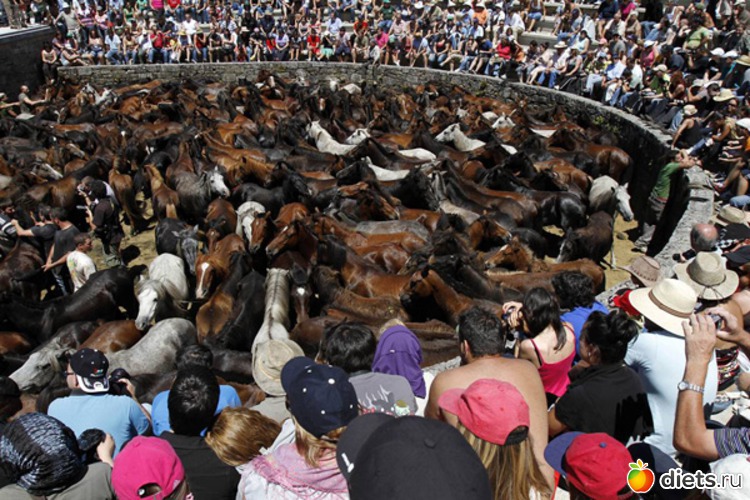 164 ����: ���