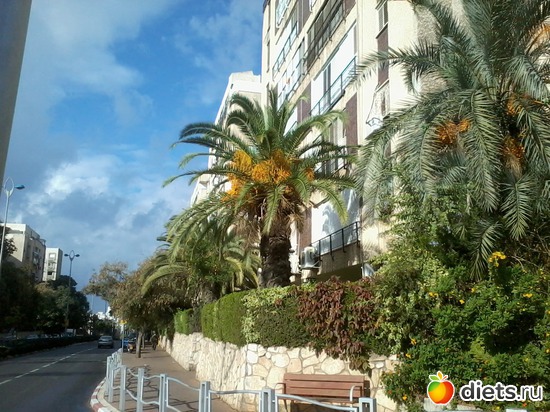 75 фото: Мой город