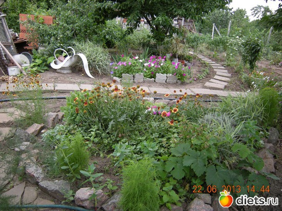 ���� � ������/� ���� ����� ���������/, ������: ��� ������ � ��������