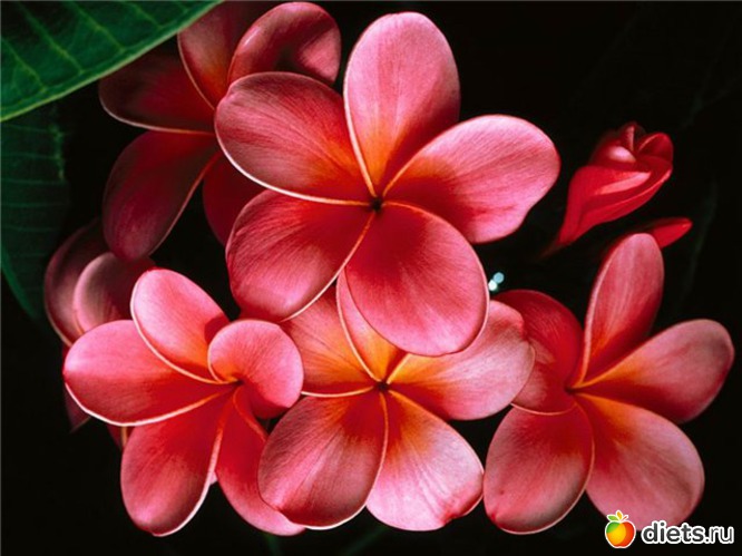 2 ����: �����