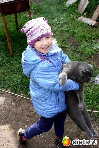 26 ����: ��� �����