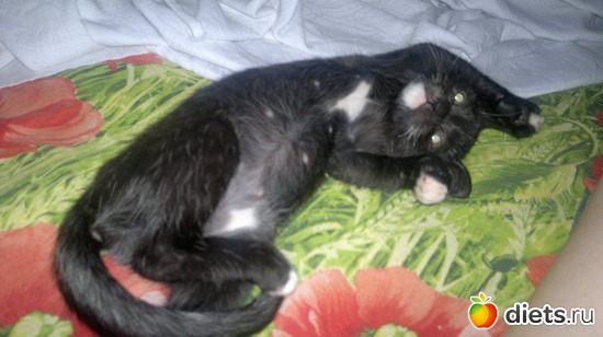 Задаемся, альбом: Котюня