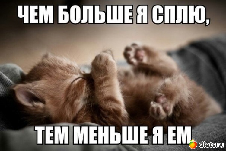 25 ����: �����