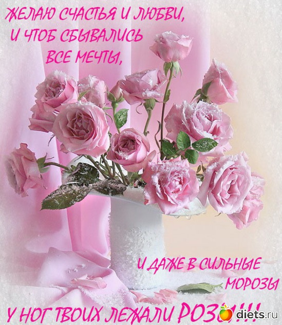 4 фото: Разное