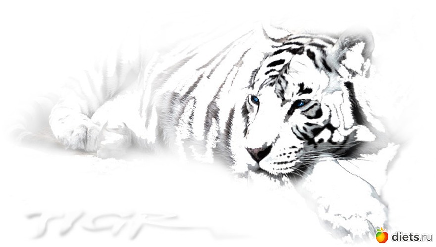 38 ����: �����