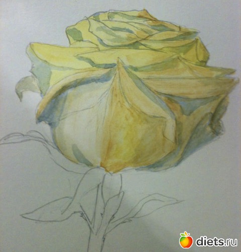 30 ����: ��� �������