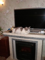 Украшение камина