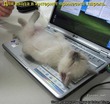 Целый день на работе)))