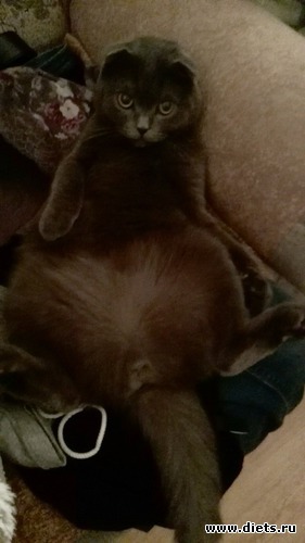 38 ����: ��� �����