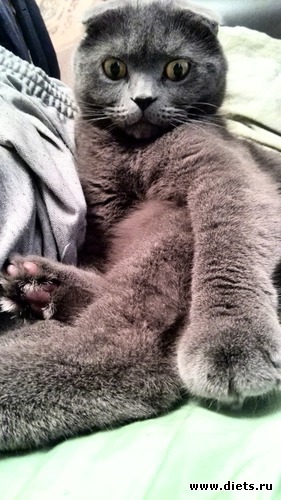 39 ����: ��� �����