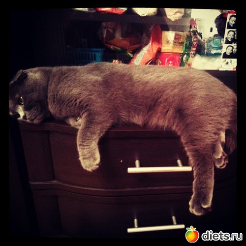 42 ����: ��� �����