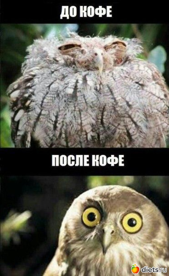 56 фото: картинки