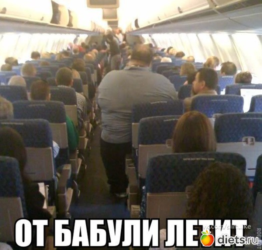 48 ����: ���������