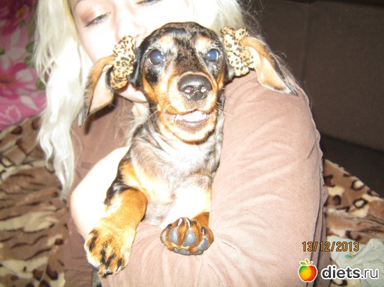 25 ����: ����� 2013 � ������...