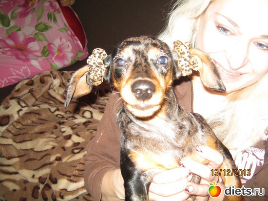 26 ����: ����� 2013 � ������...