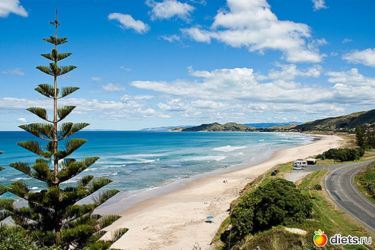 Wainui, ������: �����