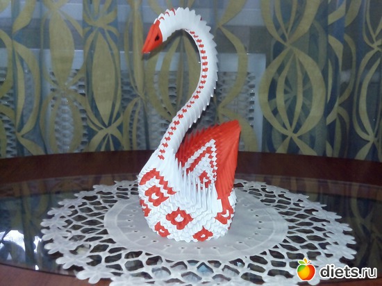 48 ����: ��� �������