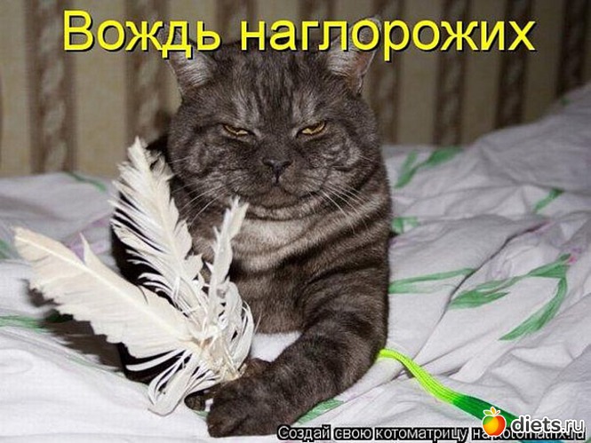 1 ����: ���� � ��