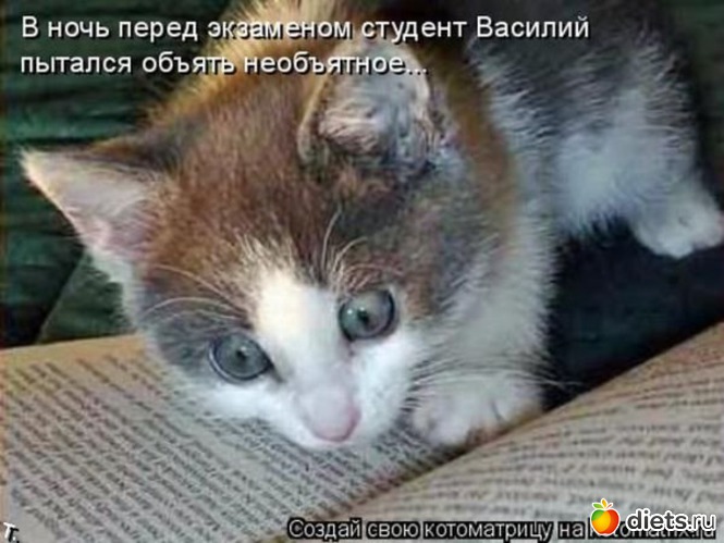 3 ����: ���� � ��