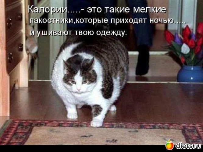 5 ����: ���� � ��