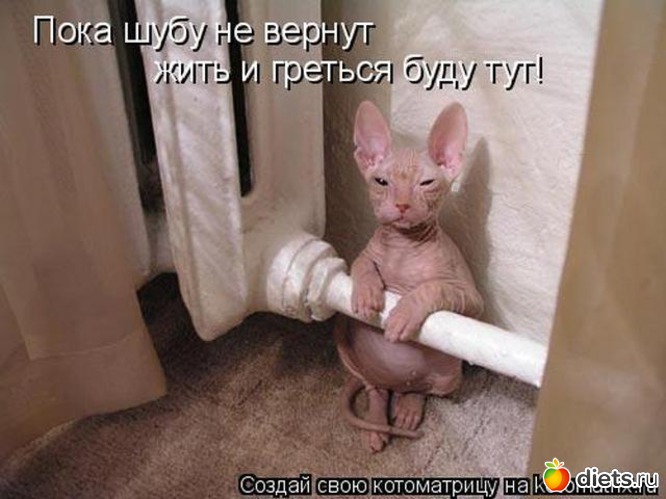 8 ����: ���� � ��