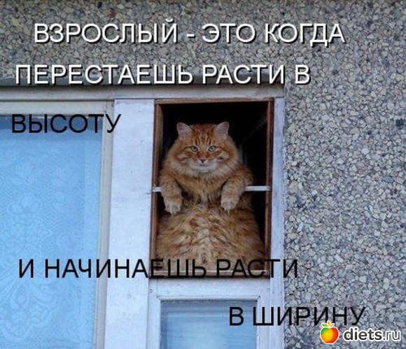 11 ����: ���� � ��